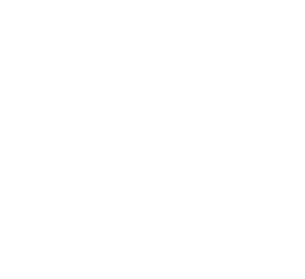 Megaphone illustration
